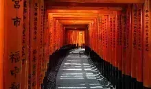 Torii tunnel of Fushimi Inari, Kyoto