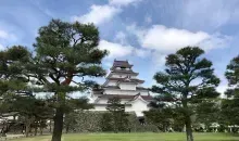Trees in front of Tsuragu Castle, Aizu Fukushima